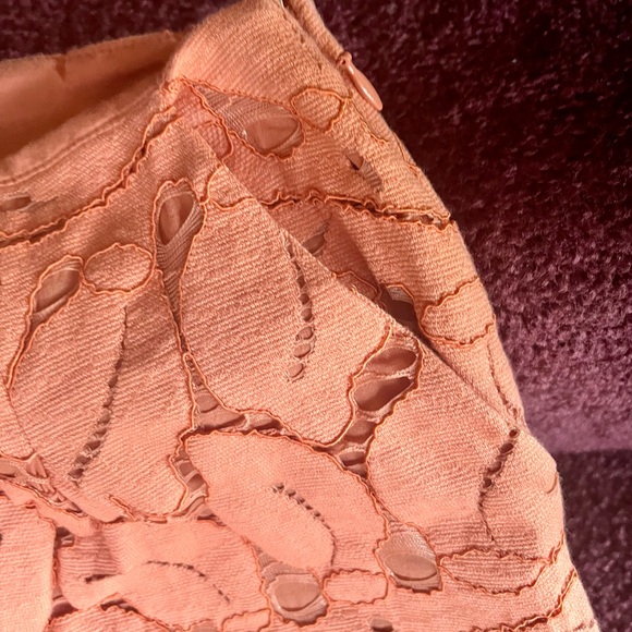 Anthropologie Coral Lace Trousers - Picture 5 of 6